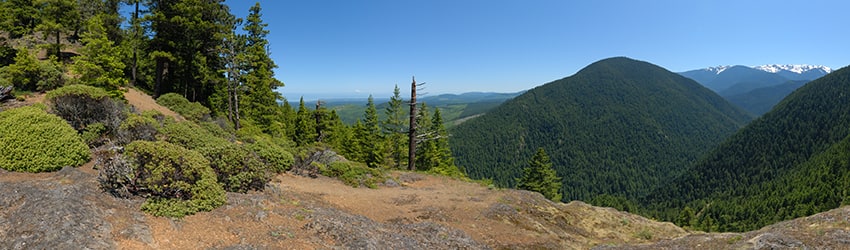 Hurricane Ridge, Olympic National Park, WA