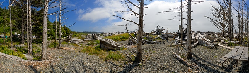 Rialto Beach, Olympic National Park, WA