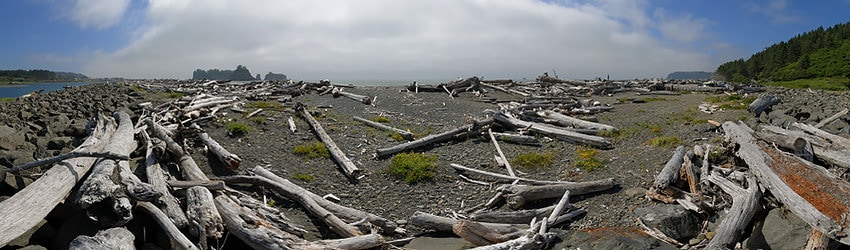 Ruby Beach, Washington