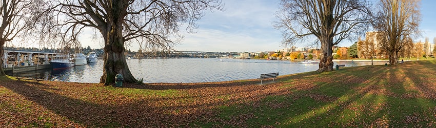 West Montlake Park, Montlake, Seattle WA