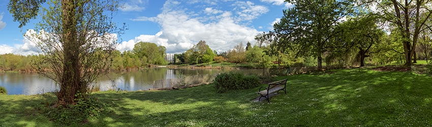 Washington Park Arboretum, Madison Park, Seattle WA