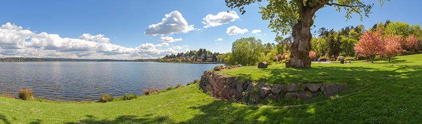 Colman Park, Mt Baker, Seattle WA