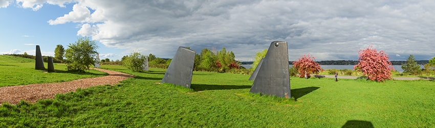 The Fin Project, Warren G. Magnuson Park, Sand Point, Seattle WA