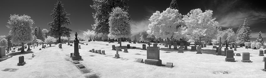 Lake View Cemetery (Infrared), Capitol Hill, Seattle WA