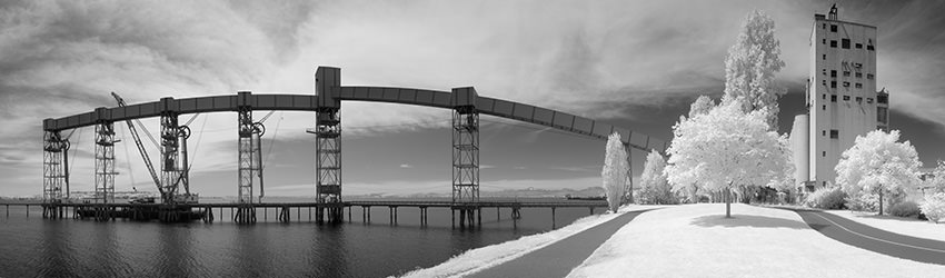 Elliott Bay Park (Infrared), Seattle WA