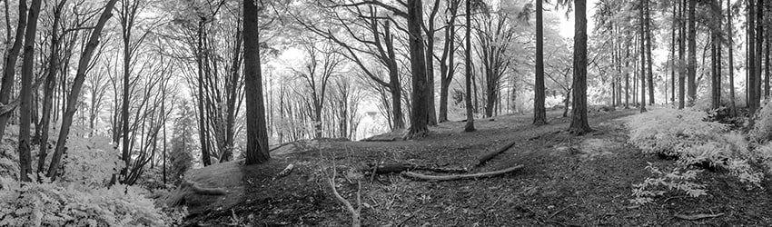 Golden Gardens Park (Infrared), Ballard, Seattle WA