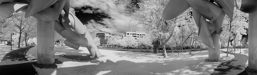 Olympic Illiad Sculpture (Infrared), The Seattle Center, Seattle WA