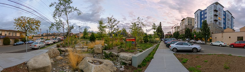 Cascade Park, South Lake Union, Seattle WA