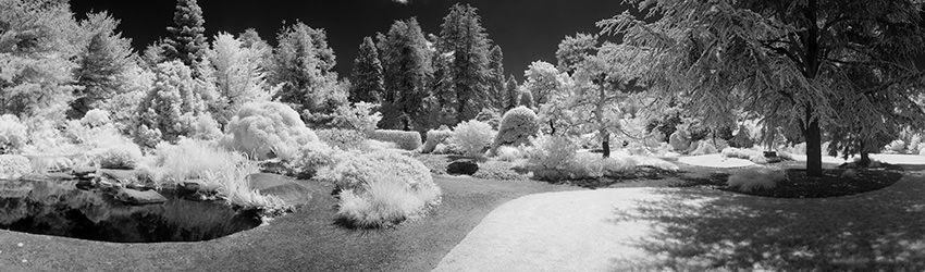 Kubota Gardens (Infrared), Seattle WA