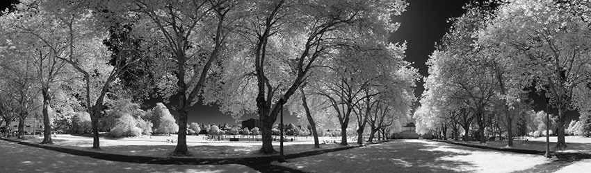 Green Lake Park (Infrared), Seattle WA