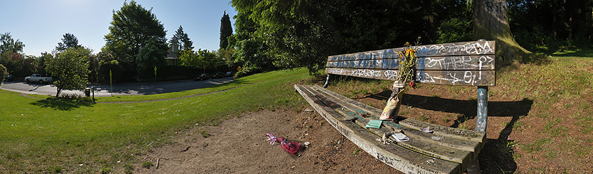 Kurt's Bench, Viretta Park, Seattle WA