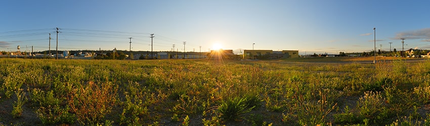 Field, Georgetown, Seattle WA