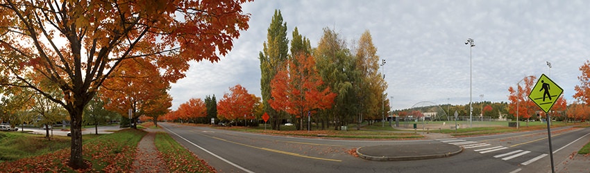 Autumn, Bothell WA