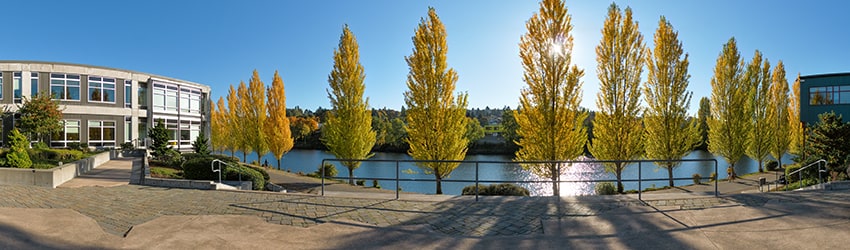 Fremont Canal Park at Google, Fremont, Seattle WA