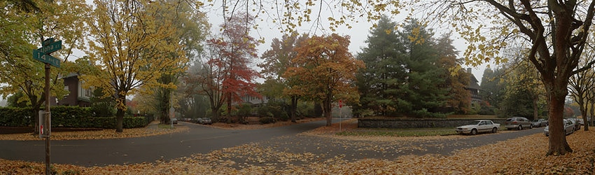 Foggy Fall Morning, 14th & Aloha, Seattle WA