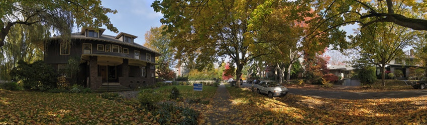 Fall Afternoon, Capitol Hill, Seattle WA
