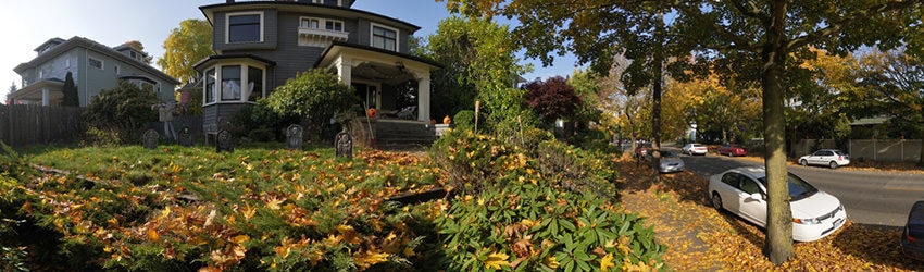 Fall Afternoon, Capitol Hill, Seattle WA