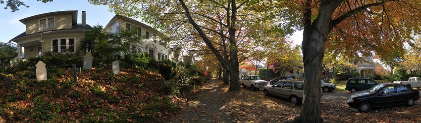 Fall Afternoon, Capitol Hill, Seattle WA