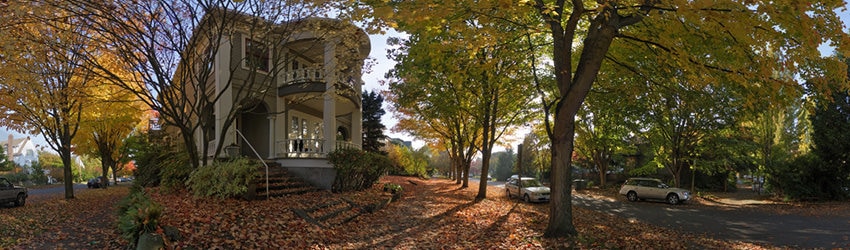 Fall Afternoon, Capitol Hill, Seattle WA