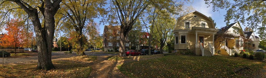 Fall Afternoon, Capitol Hill, Seattle WA