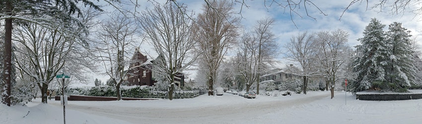 14th Ave & Aloha, Seattle WA