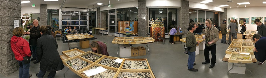 Don Ehlen's Insect Safari, Seattle WA