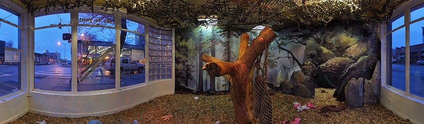 Artzoo Display, Freesheep Foundation, Seattle WA