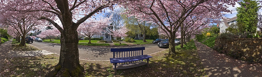 21st Ave & Prospect, Capitol Hill, Seattle WA