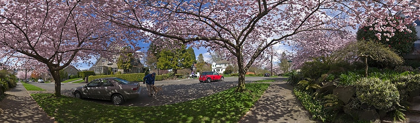 21st Ave & Prospect, Capitol Hill, Seattle WA