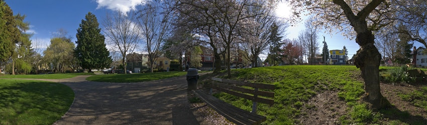 Alvin Larkins Park, Seattle WA