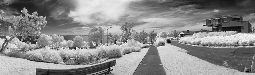 30th & Eaton, Infrared, Seattle WA