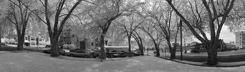 McGilvra Place, Infrared, Seattle WA
