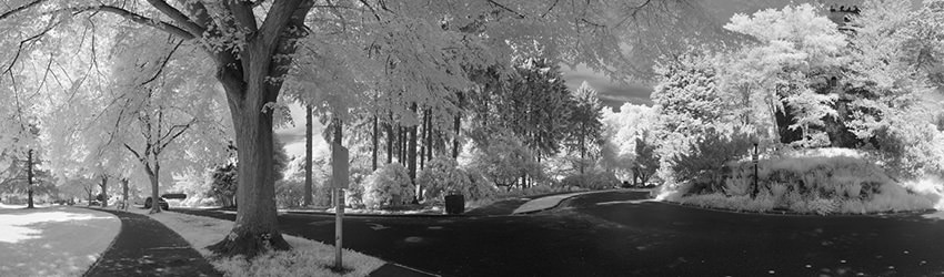 Volunteer Park, Infrared, Seattle WA