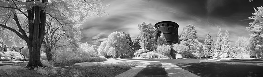 Volunteer Park, Infrared, Seattle WA
