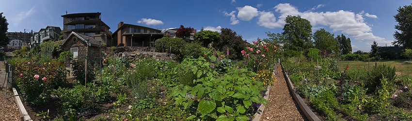 Trolly Hill Park, Seattle WA