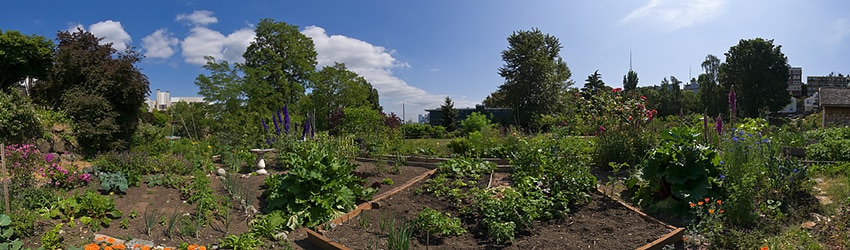 Trolly Hill Park, Seattle WA