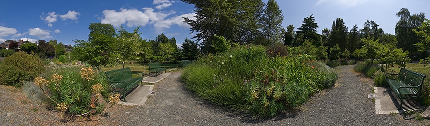 Trolly Hill Park, Seattle WA