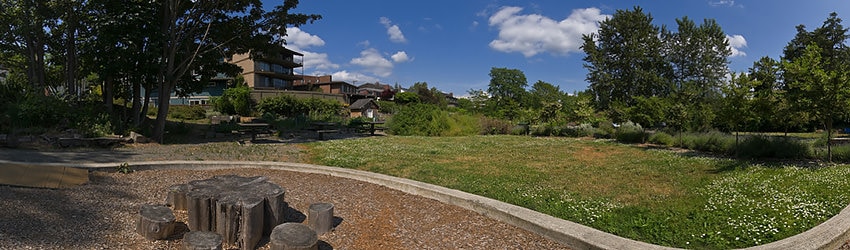 Trolly Hill Park, Seattle WA