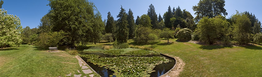 Washington Park Arboretum, Seattle WA
