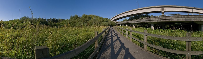 Mercer Slough Park, Bellevue WA