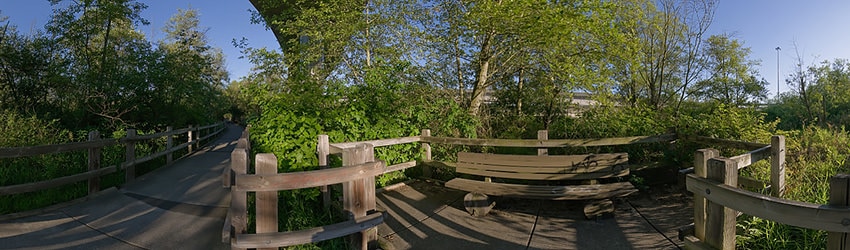 Mercer Slough Park, Bellevue WA