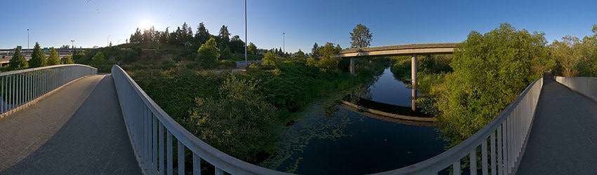 Mercer Slough Park, Bellevue WA