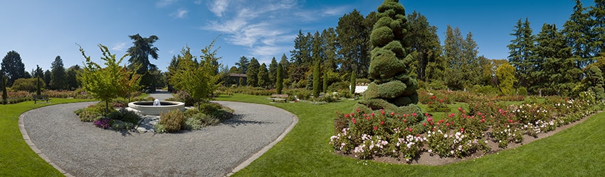 Woodland Park Rose Garden, Seattle WA