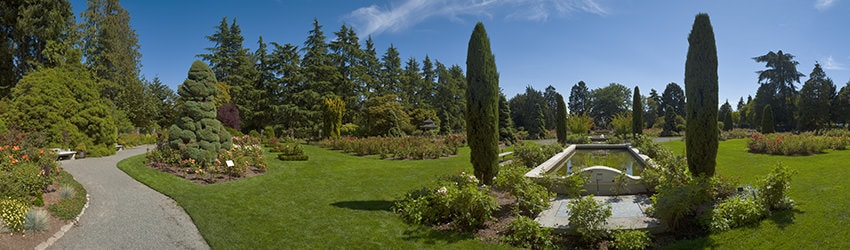 Woodland Park Rose Garden, Seattle WA