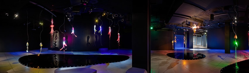 Gelatine Lux Exhibit, Experience Music Project, Seattle WA