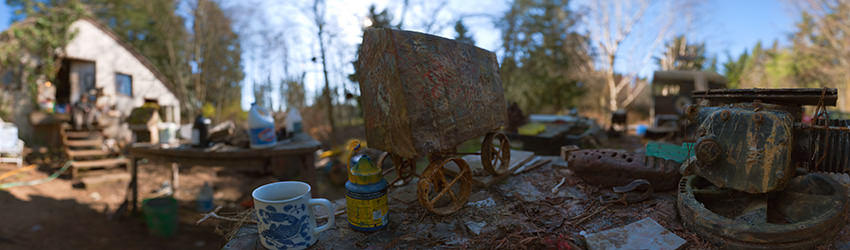 Artist Larry Calkins at his Studio, Tiger Mountain WA