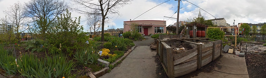 Cascade Park P-Patch, South Lake Union, Seattle WA