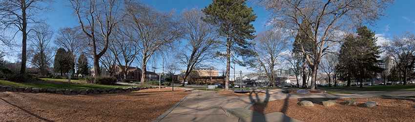 Denny Park, Seattle WA