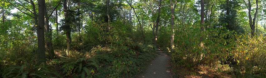 Carkeek Park, Seattle WA