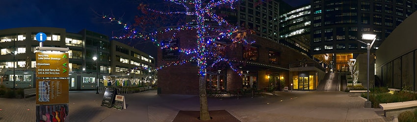 Amazon HQ, South Lake Union, Seattle, WA